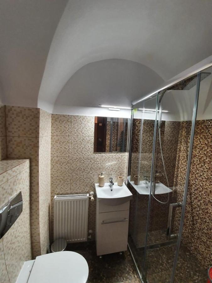 Radu Apartament Daire Sibiu Dış mekan fotoğraf