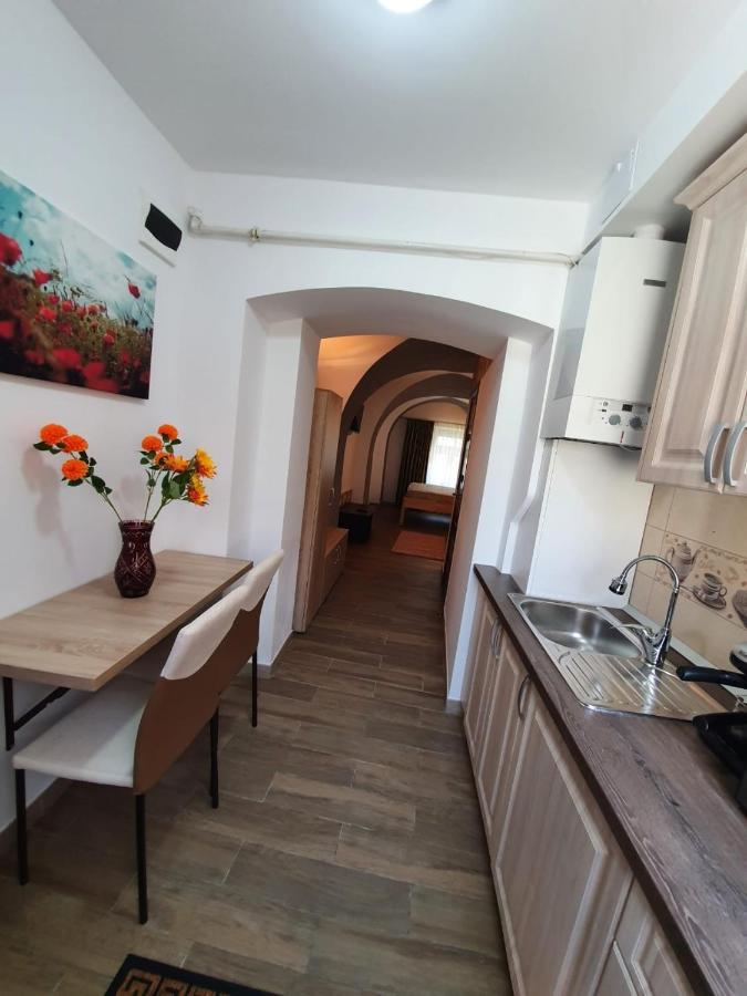 Radu Apartament Daire Sibiu Dış mekan fotoğraf