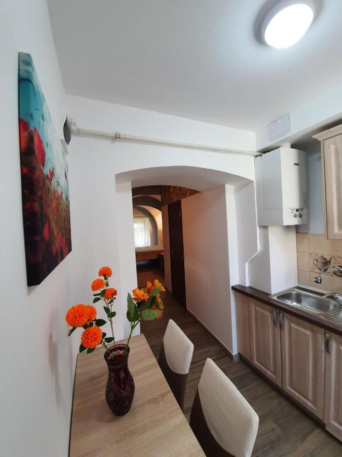 Radu Apartament Daire Sibiu Dış mekan fotoğraf